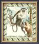 Mona Monkey by Georges-Louis Buffon Limited Edition Print