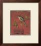 Songbird Recollection by Regina-Andrew Design Limited Edition Pricing Art Print