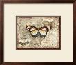 Poetic Butterfly I by Chariklia Zarris Limited Edition Print