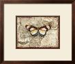 Poetic Butterfly I by Chariklia Zarris Limited Edition Pricing Art Print