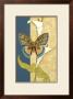 Nouveau Butterflies I by Jennifer Goldberger Limited Edition Print