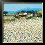 Farm Near Bini by Hazel Barker Limited Edition Pricing Art Print