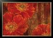 Saffron Blossom I by Gosia Gajewska Limited Edition Pricing Art Print