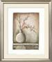 Tranquil Apple Blossom by Tina Chaden Limited Edition Pricing Art Print