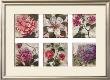 Kaye's Bouquets by John Douglas Limited Edition Print