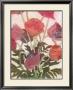 Poppies by Jenni Christensen Limited Edition Pricing Art Print