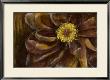 Floral Illusion Ii by Jennifer Goldberger Limited Edition Print