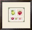 Antique Fruits by Alex Bloch Limited Edition Print