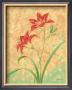 Lovely Lily by Jane Maday Limited Edition Pricing Art Print