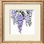 Wisteria by Linda Lord Limited Edition Pricing Art Print