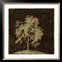 Gilded Tree Iii by Megan Meagher Limited Edition Print