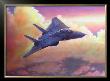 F-14A Tomcat by Douglas Castleman Limited Edition Print