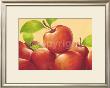 Eve's Apple by Susanne Bach Limited Edition Print