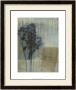 Weathered Floral I by Jennifer Goldberger Limited Edition Print
