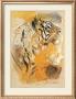 Wildlife Tiger by Joadoor Limited Edition Print