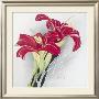 Day-Lilies I by Franz Heigl Limited Edition Print