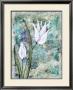 Dream Lilies Ii by Amore Limited Edition Print