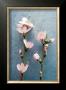 Branches Fleuries En Rose Et Bleu I by Amelie Vuillon Limited Edition Pricing Art Print