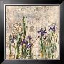 Iris Mist Ii by Dennis Carney Limited Edition Print