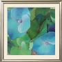 Hydrangeas by Leni Betes Limited Edition Pricing Art Print