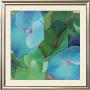 Hydrangeas by Leni Betes Limited Edition Print