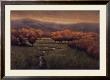 Morning Fescue by Simon Winegar Limited Edition Print