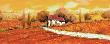 Rosso Papavero by Guido Borelli Limited Edition Print