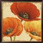 Poppy Spice I by Daphne Brissonnet Limited Edition Print