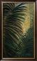 Light Through The Palm Fronds by Mary Spears Limited Edition Print