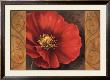 Pavots Rouges I by Jordan Gray Limited Edition Print