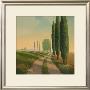 Tuscan Path Iii by Allan Stephenson Limited Edition Print