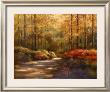Autumn Trail by T. C. Chiu Limited Edition Pricing Art Print