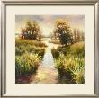 Lowlands I by D.S. Kim Limited Edition Print