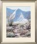 Desert Foothills Splendor by Linda Lee Limited Edition Pricing Art Print