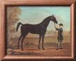 Racehorse Othello by R. Roper Limited Edition Print