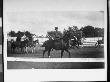 A Female Rider Surrounded By Men On Horseback During Buffalo Bill's Wild West Show by Wallace G. Levison Limited Edition Print