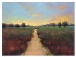 Beautiful Sunset by P. Patrick Limited Edition Print