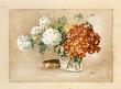 Bouquet D'églantines by Laurence David Limited Edition Pricing Art Print