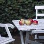 Apples On A Garden Table by Helene Toresdotter Limited Edition Print