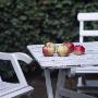 Apples On A Garden Table by Helene Toresdotter Limited Edition Pricing Art Print