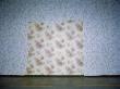 Different Wallpaper Underneath Another Layer Of Wallpaper by Asa Franck Limited Edition Print