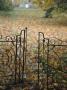 An Open Gate Into A Park Covered With Autumn Leaves by Hans Christer Ericson Limited Edition Pricing Art Print