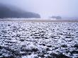 Panoramic View Of A Snow Covered Field, Sweden by Hans Wretling Limited Edition Print