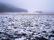 Panoramic View Of A Snow Covered Field, Sweden by Hans Wretling Limited Edition Pricing Art Print