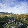 Ribblehead Viaduct Yorkshire, England by Joe Cornish Limited Edition Pricing Art Print