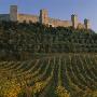 Montereggioni, Tuscany by Joe Cornish Limited Edition Print