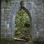 Gothic Archway - Long Abbey (Ruined) Co, Mayo, Republic Of Ireland by Joe Cornish Limited Edition Print