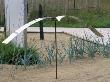 Stainless Steel Seagull In 'Wind Shore' Garden, Designer: Marmiroli,Genty And Tesseyre by Clive Nichols Limited Edition Print