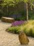 Gravel Garden With Rocks, Stipa Tenuissima And Salvia Nemorosa Wesuwe by Clive Nichols Limited Edition Print