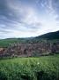 Alsac - View Of The Town And Castle by Joe Cornish Limited Edition Pricing Art Print